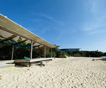 夏のマリンスポーツ