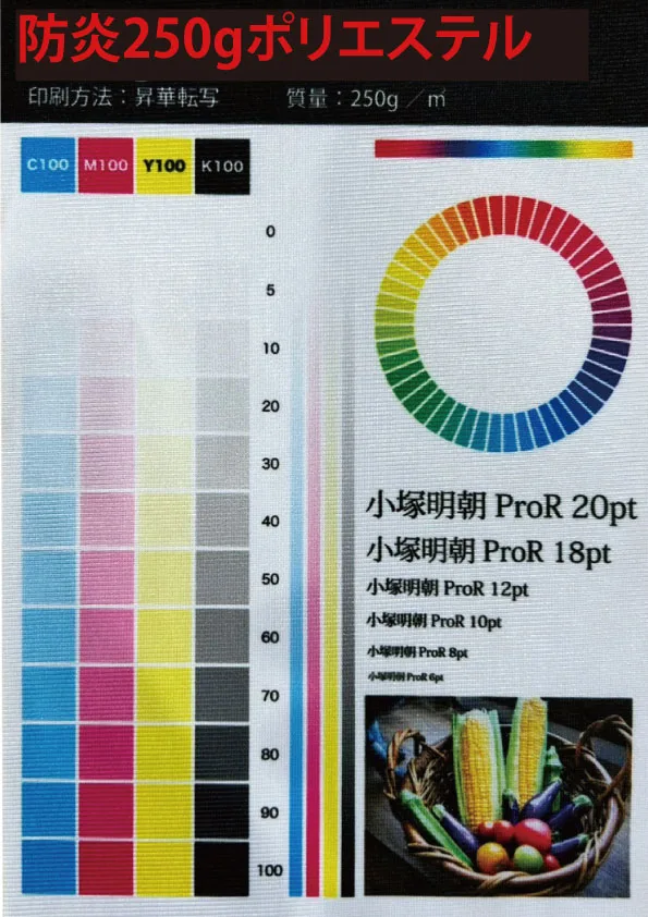 防炎250gポリエステル - 表面