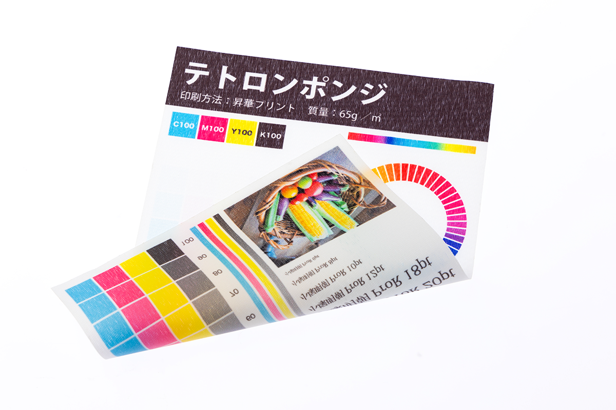 テトロンポンジ - 裏面