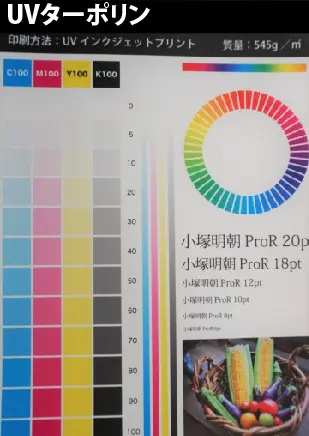 【国内】UVターポリン(片面印刷)